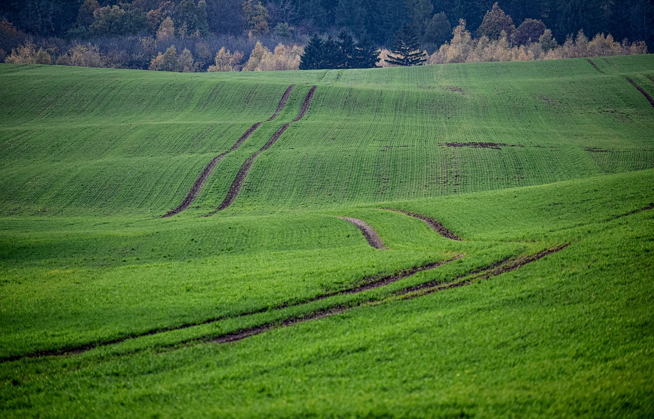 How to Spot the Perfect Piece of Land in Ohio (Before Someone Else Buys It)