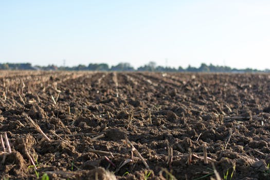 Where to Find Cheap Land in Ohio (And How I Learned to Spot a Good Deal)