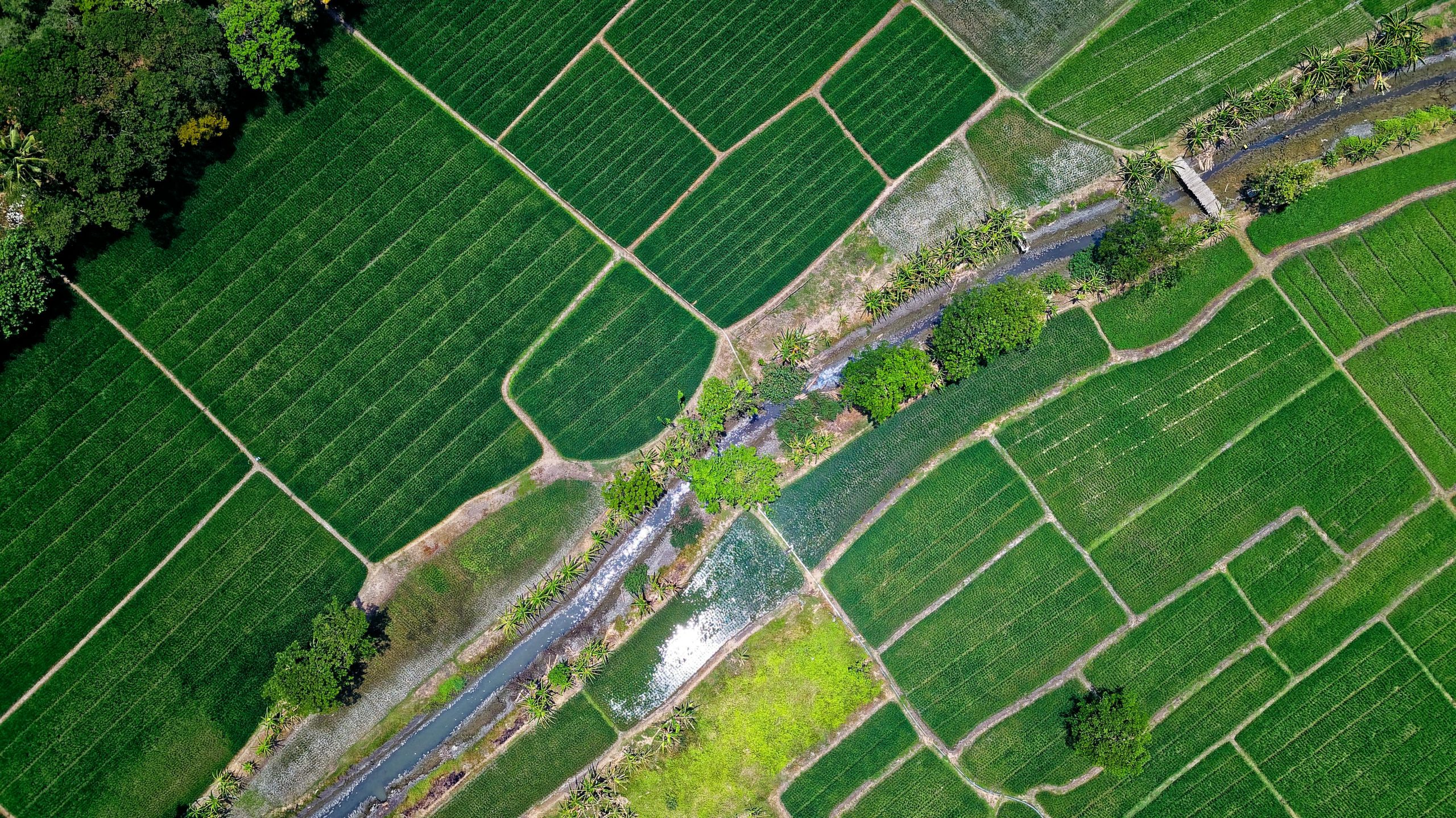 How Much Does Land Cost per acre in Ohio?(2025 Surprising County Comparisons)